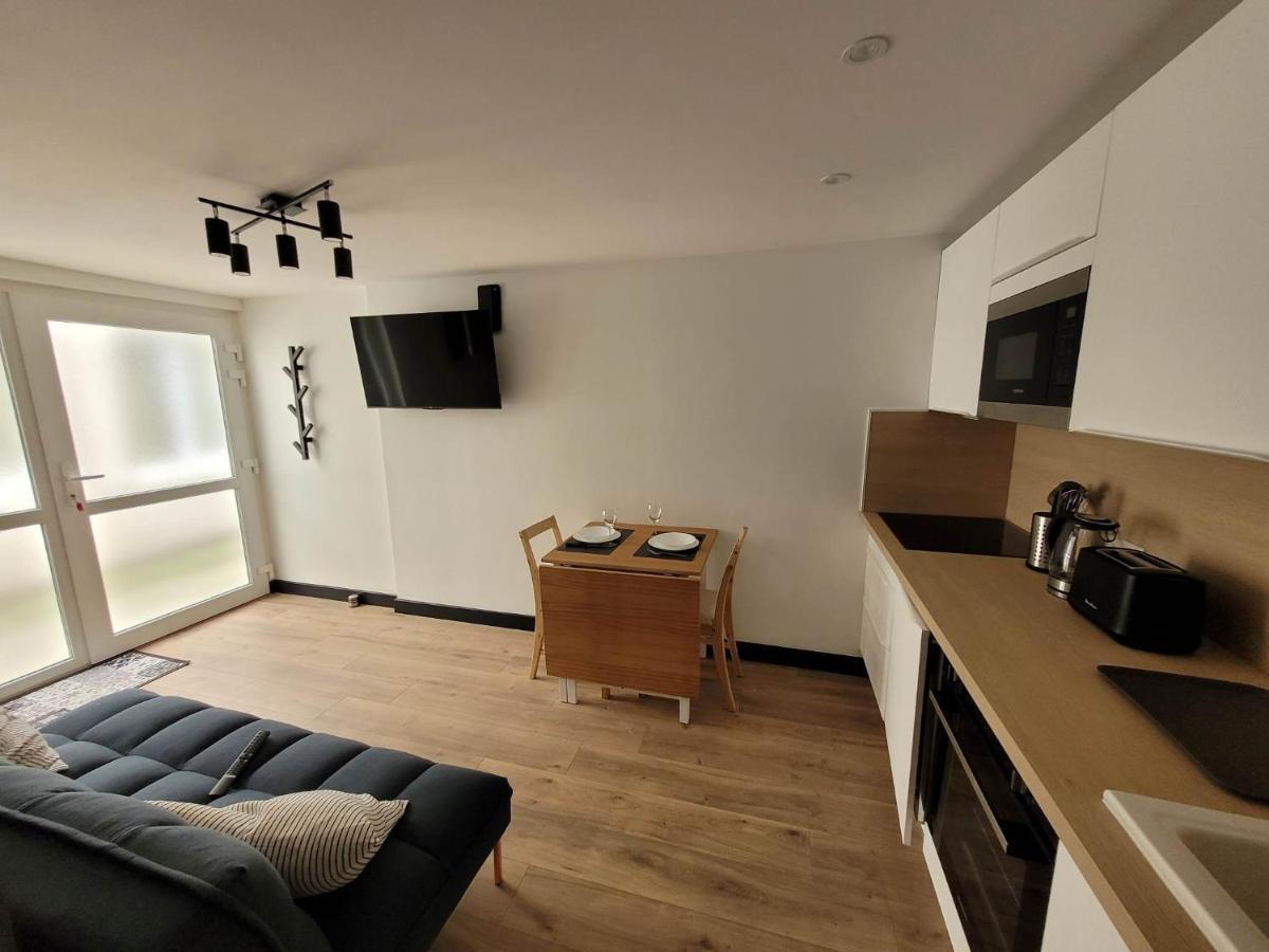 Duplex Mon Desert - Parc Sainte Marie - Nancy Thermal Exterior foto